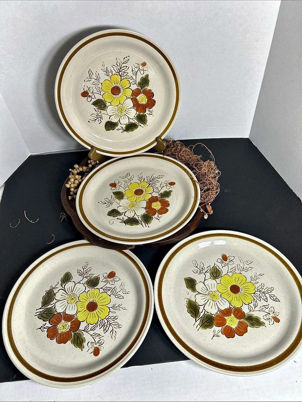 Vintage Olde Brook Floral dinner plate Plates Set of 4, 10” diameter